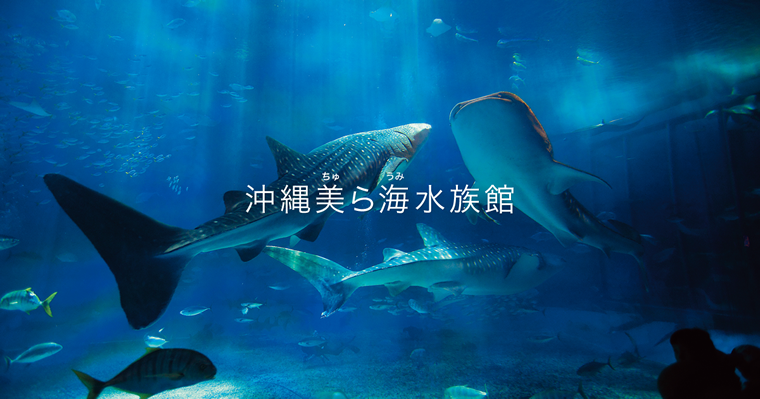 沖繩美麗海水族館官方封面圖片