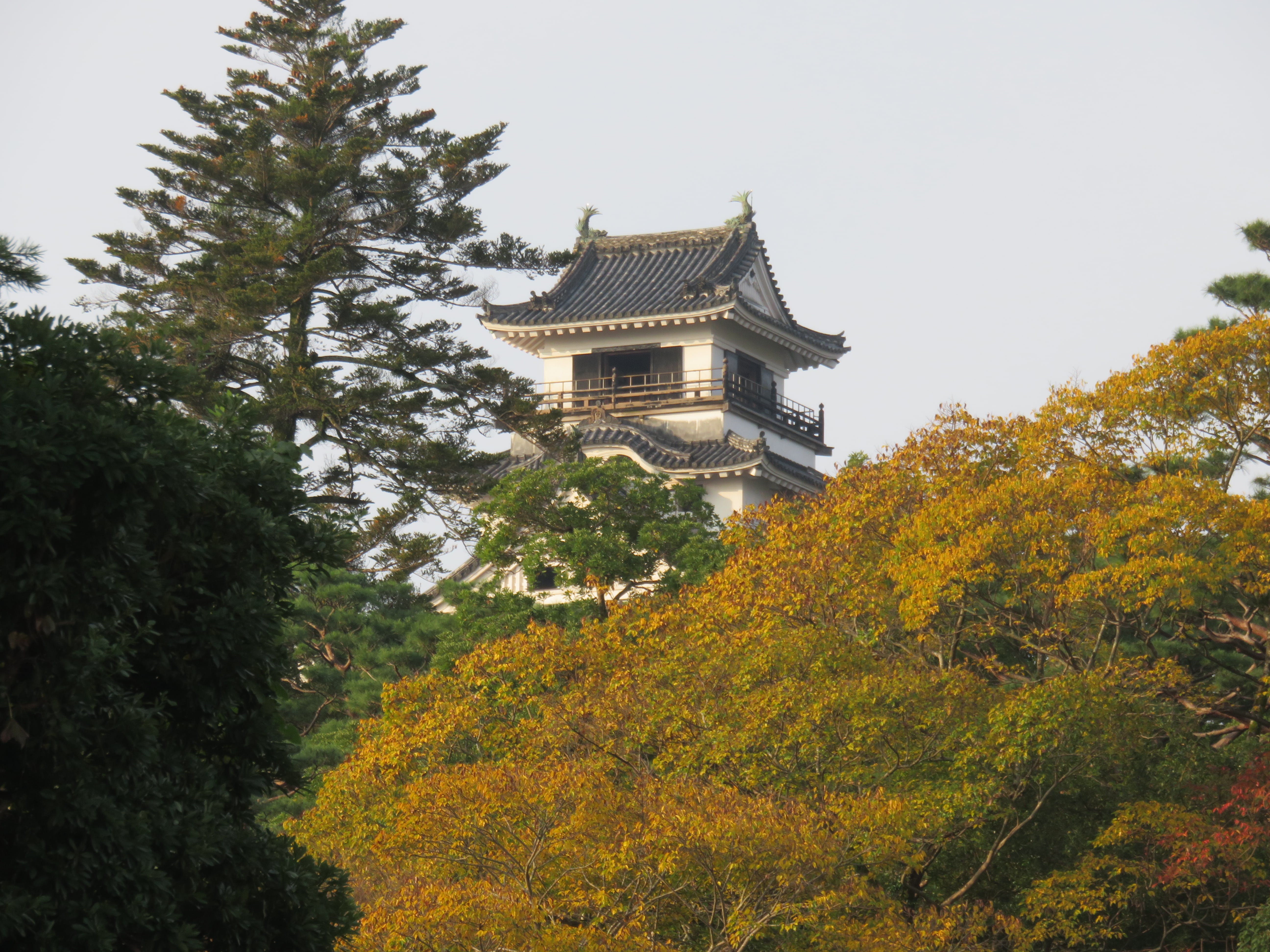 高知城與高知市中心景觀