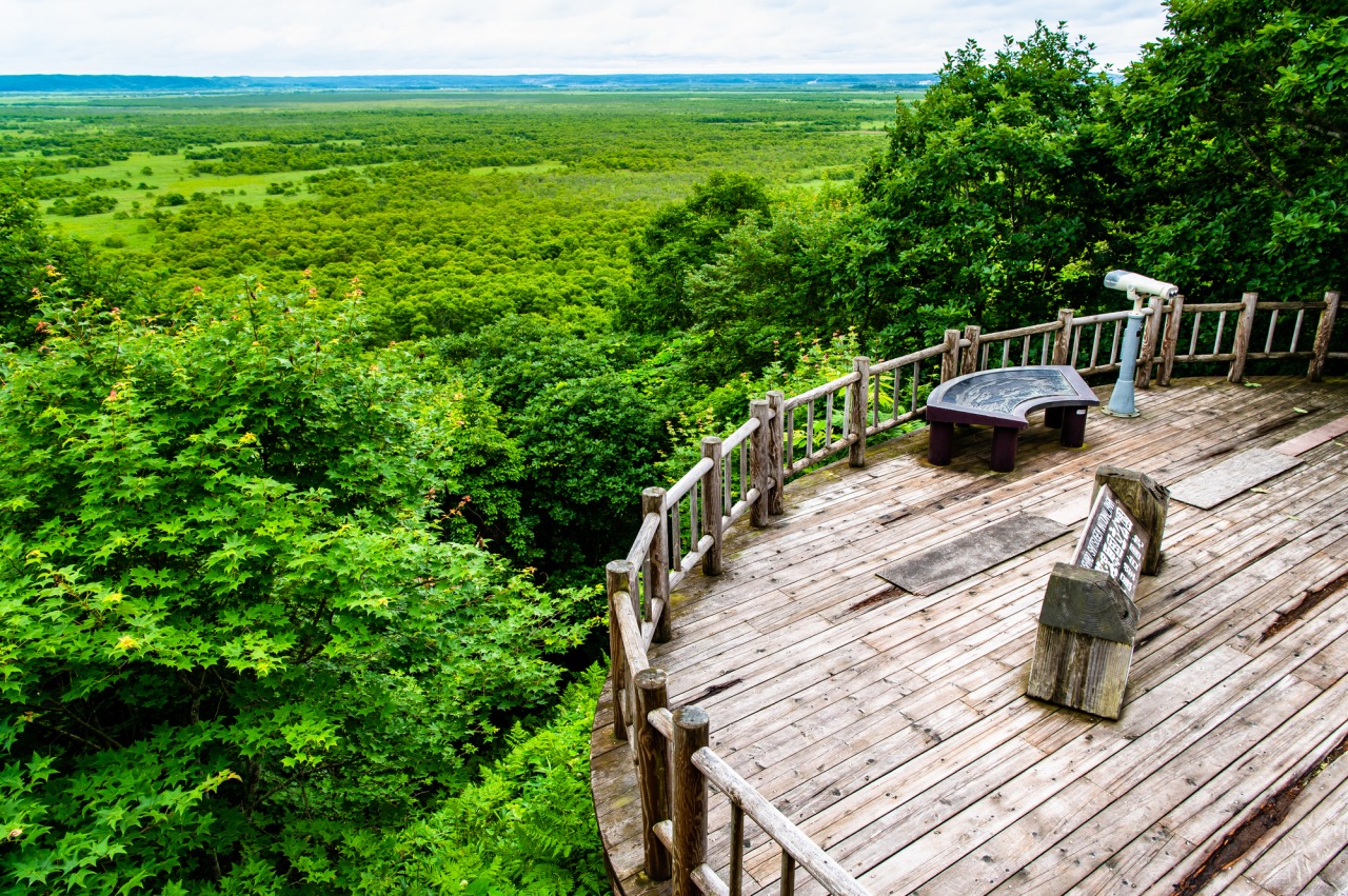 釧路濕原木道與自然景觀
