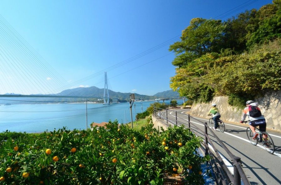島波海道海邊道路上的單車旅人與跨海大橋