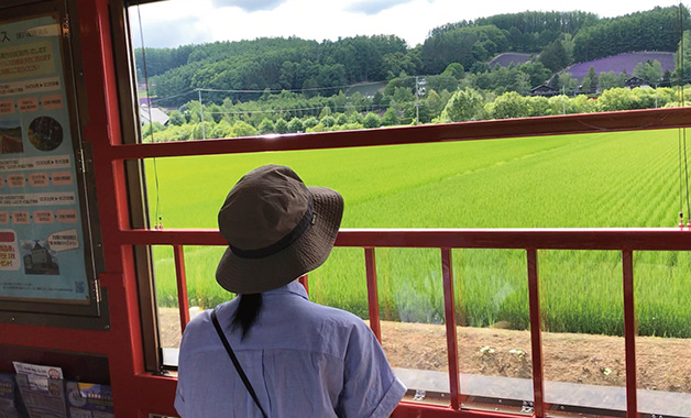JR北海道 Furano Biei Norokko 觀光列車窗外風景