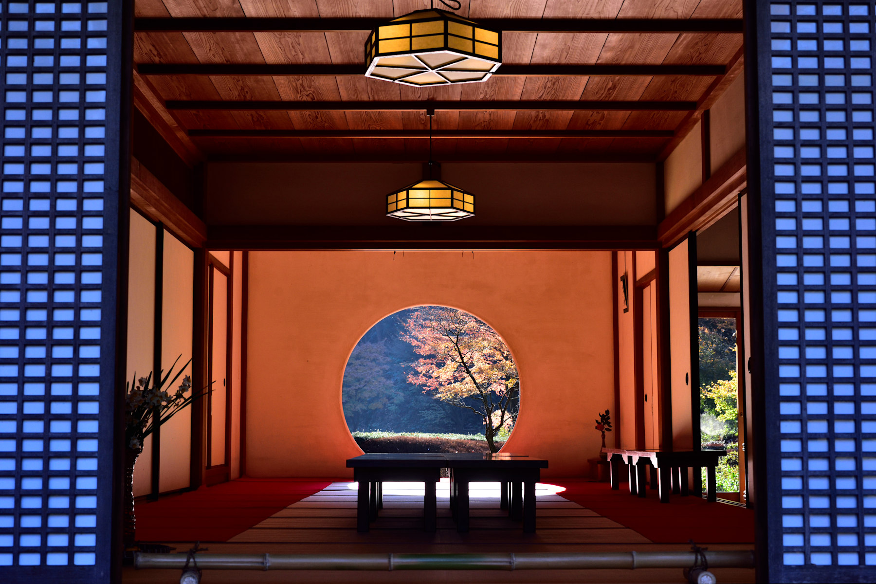 鎌倉明月院寺院庭園與參道